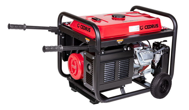 Cedrus elektrigeneraator CEDAG8E-1F