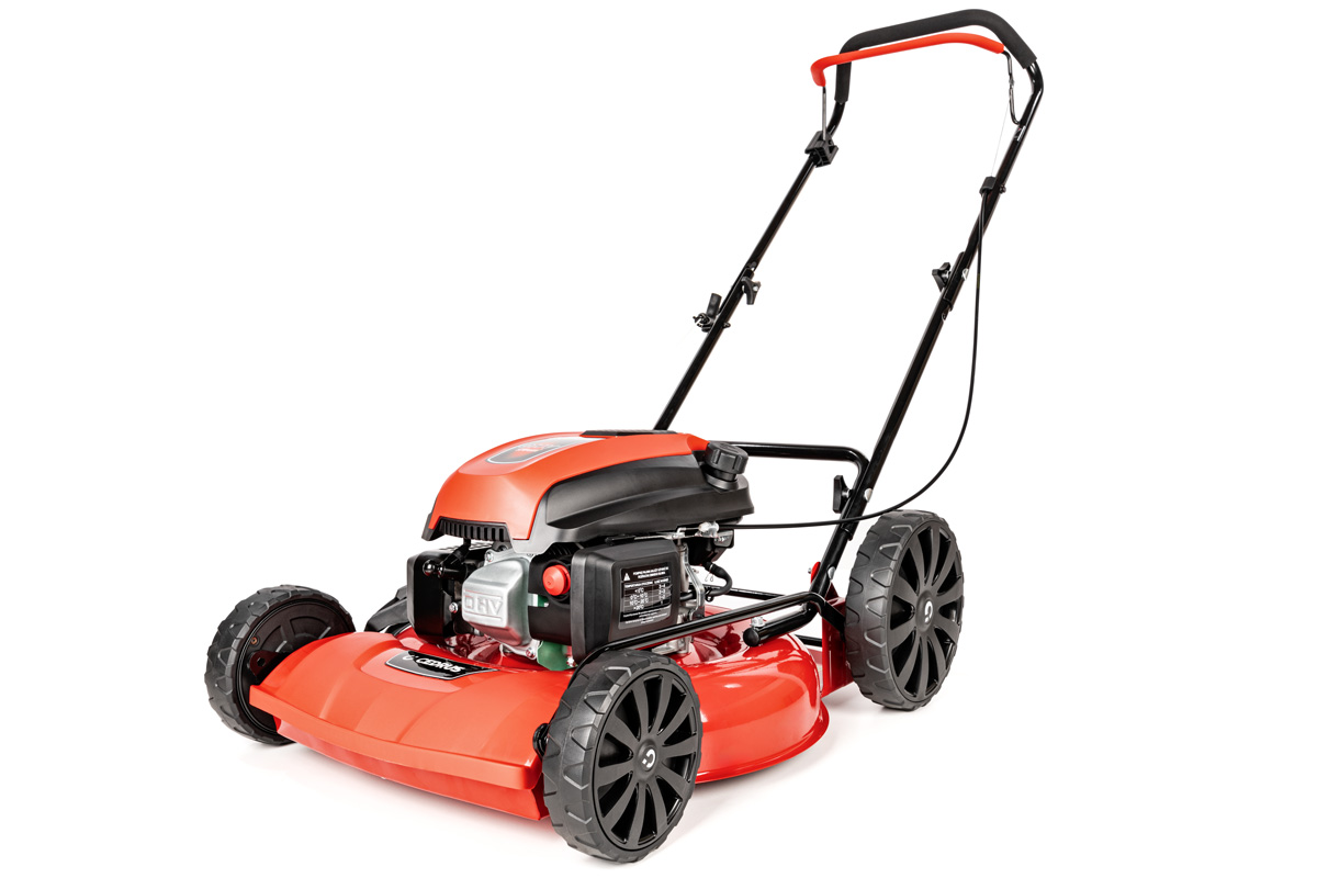Veota muruniiduk Cedrus CEDKS51P