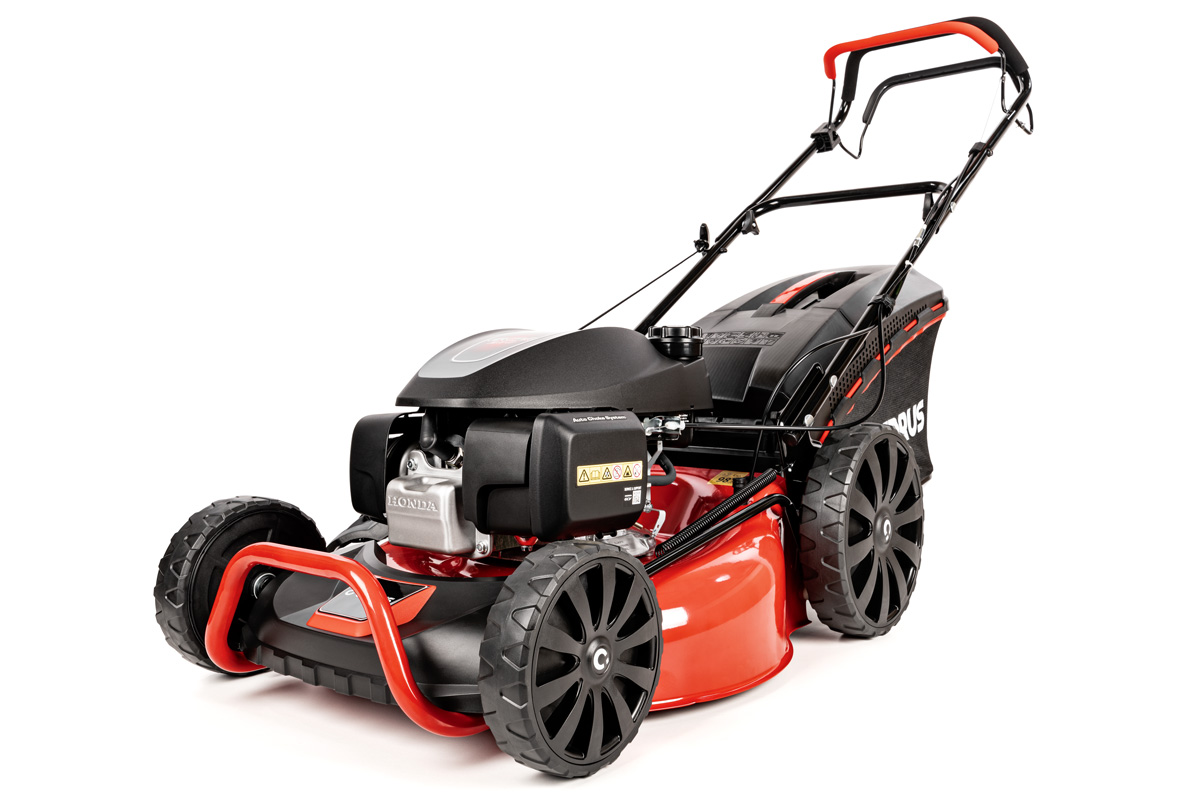 Muruniiduk Cedrus CEDKS51S-H