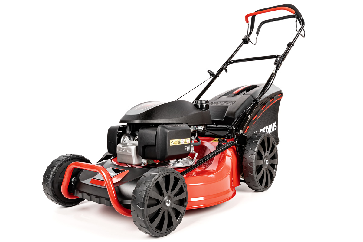 Muruniiduk Cedrus CEDKS53S-H