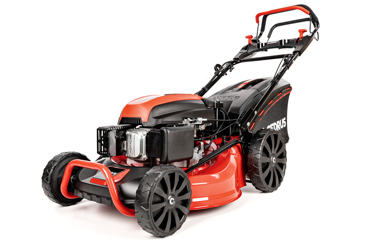 Muruniiduk Cedrus CEDKS53SV-E