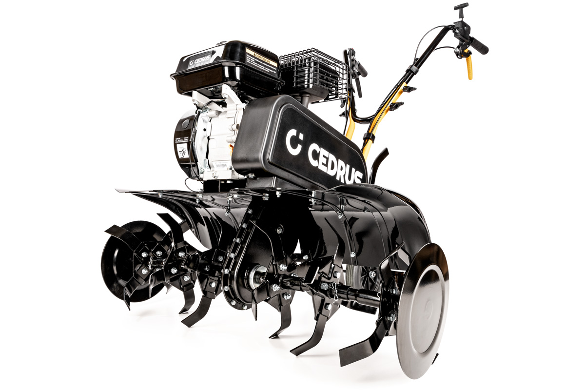 Mullafrees Cedrus CEDRUSGL01