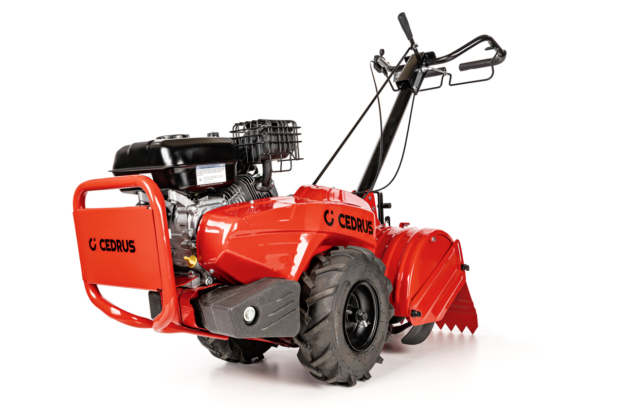 Cedrus CEDRUSGL03PRO-B&S mullafrees
