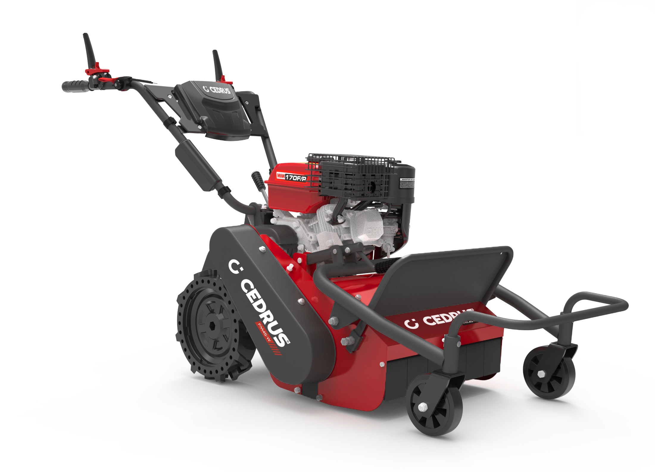 Muruniiduk bijakowa Cedrus CEDFM45-W